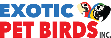 Buy Exotic Birds For Sale